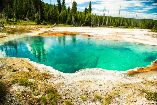 Бирюзовый горячий источник в Йеллоустоне, окруженный лесом.