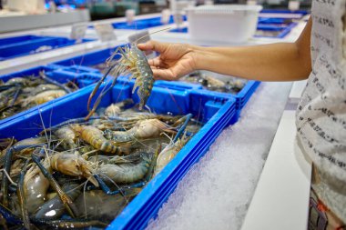 Markette taze karideslerle el ele tutuşurken.