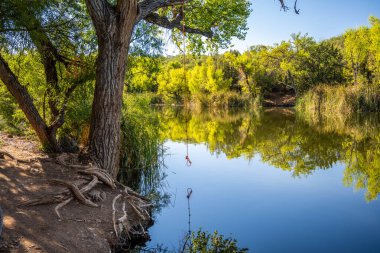 Patagonya Eyalet Parkı, Arizona manzarası