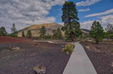 Arizona 'daki Günbatımı Krateri' ndeki Lav Akışı Yolu