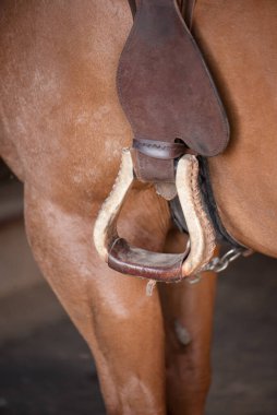 At üstünde Stirrups 'a yaklaş