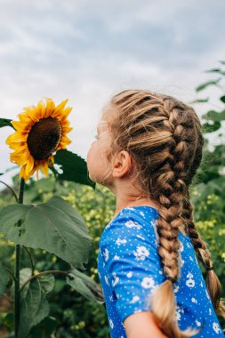 Saçları örgülü bir kız tarlada ayçiçeği kokusu alıyor.
