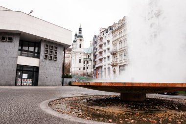 Karlovy 'de kilisenin önündeki sıcak su çeşmesi çeşitlidir.