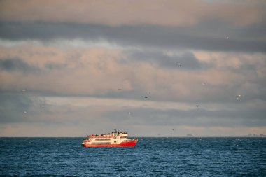 Gün batımında dalgalı deniz suyunda yolculuk eden gemi ve uçan kuşlar 