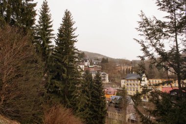 Resimli dağ köyüne bakan kozalaklı orman.