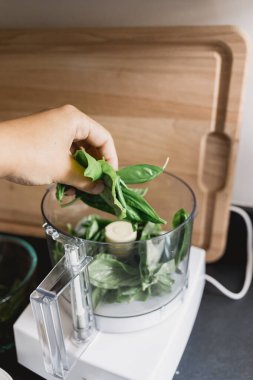 Pesto yapmak için gıda işlemcisine taze fesleğen yaprağı ekleyen kişi.