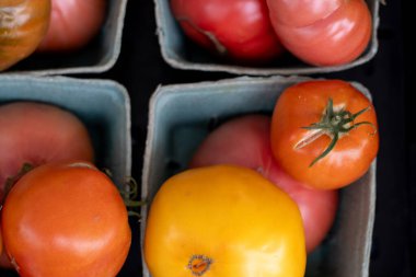 Kartonlarda çeşitli renkli aile yadigarı domatesler sergilenir.