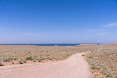Arka planda mavi gökyüzü olan çölde bir yol.