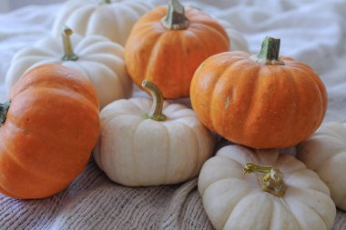 Mini Orange ve White Pumpkins 'in Dokulu Kumaş Üzerine Yakın Çekimi