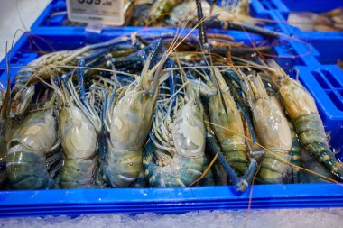 Close-up view of fresh shrimp in container clipart