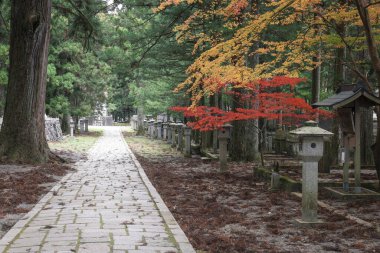 Okuno-in u Okunoin Mezarlığı. Sonbaharda ayrıntılar.