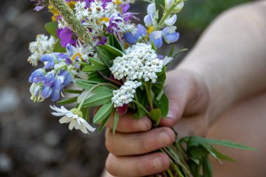 Elinde renkli bir buket kır çiçeği tutan bir çocuk.