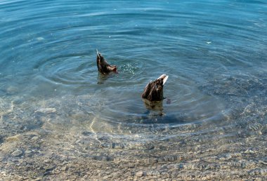 plitvice gölleri ulusal park, Hırvat