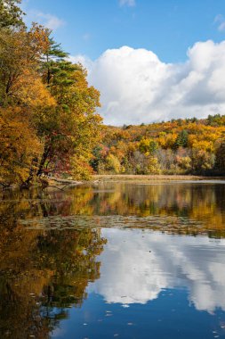 New Hampshire 'da güneşli bir günde, sonbahar yapraklarıyla çevrili sakin bir gölet.