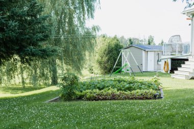 Arka bahçe manzarası ve salıncaklar