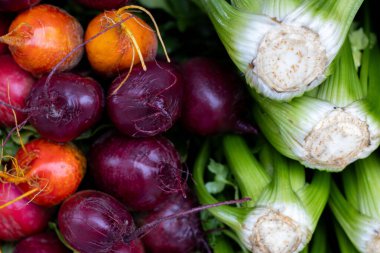 Renkli pancarları ve taze kereviz saplarını kapatın.