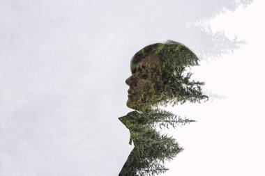 Orman Kaplamalı Çifte Maruz Kalma Silueti