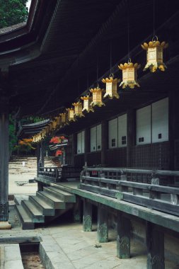 Pagoda 'dan sarkan altın lambalar.