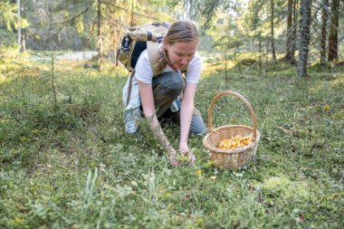 Ormanda mantar toplayan kadın.