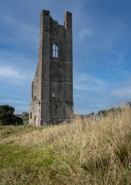 On the grounds of Trim Castle is 