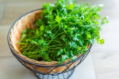 Mutfak tezgahında içi taze yeşil kişniş dolu bir sepet..