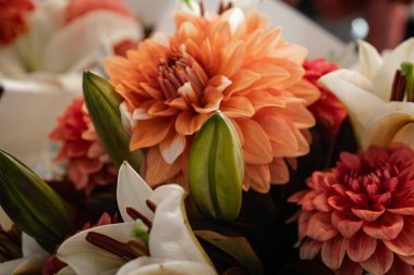 Dahlia ve Lily çiçek açtı