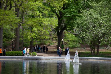 Central Park 'ta New York' ta gölette gezen model tekneler.