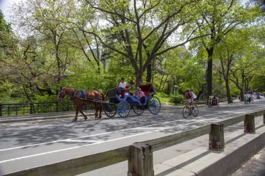 Central Park New York 'ta at arabaları ve bisikletçiler.