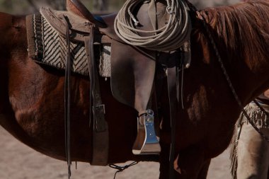 Eyer ve üzengi takan atın profil kenarı görünümü