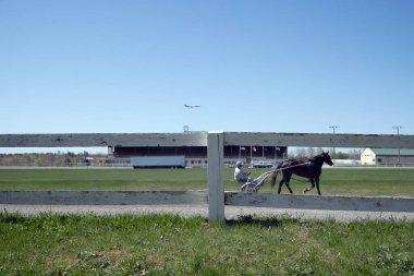 Harness racer and horse on track framed in white fence clipart