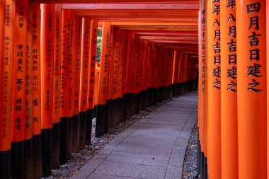 Torii Kapılarının Yolu Huzura Gidiyor