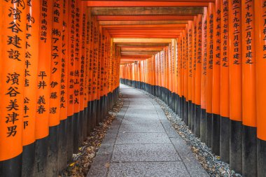 Torii Gates Kyoto 'nun Huzurlu Tapınaklarını Çerçeveliyor