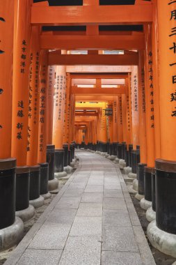 Torii Gates Kyoto 'nun Huzurlu Tapınaklarını Çerçeveliyor