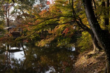 Kyoto Tapınak Bahçelerinde Sonbahar Güzelliği