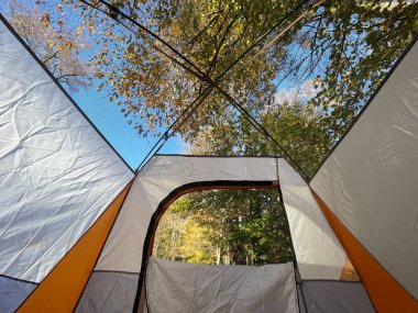 Kamp çadırından sonbahar ormanı manzarası