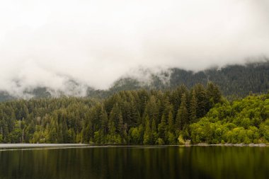 Çam ağaçları ve gölü olan bir bulutun içindeki dağın önü.