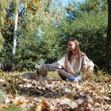 Bir kız sonbaharda hafif köpeğini okşarken yaprakların üzerine oturur, güler..