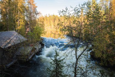 Sonbahar ormanlarında akıntılı nehir, Oulanka Ulusal Parkı, Finlandiya