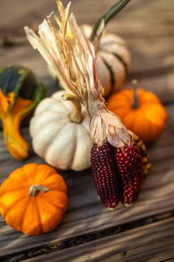 Hindistan mısırı, kabak ve küçük balkabağı yığını.