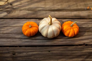 Tahta bir yüzeye karşı dizilmiş üç küçük balkabağı.