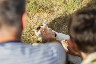 Baba oğul açık havada bir kediyle oynuyorlar.