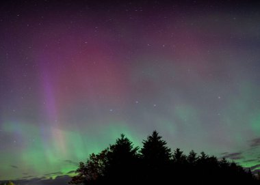 Ağaçlarla dolu renkli kuzey ışıkları