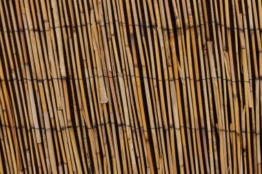 Bambu çitler doğal ve sürdürülebilir bir bariyer oluşturuyor Karlin, Prag