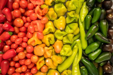 Gökkuşağı rengine göre seçilmiş renkli sebzeler