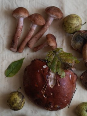 Orman mantarları, elmalar ve kuru yapraklar.