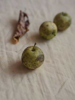 Masa örtüsünde üç küçük orman elması