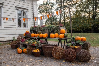 Parkta balkabağı ve hasır sepetli sonbahar süslemeleri
