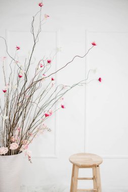 Beyaz Duvar 'lı Kurumuş Çiçek Dalları