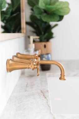 Altın Musluk Lavabo Özellikli Tuvalet