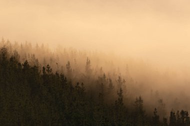 Sabahları bulutların altında Aramaio vadisi